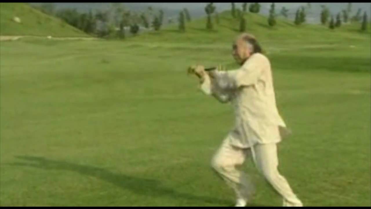 Ba Bu Lian Huan Shuang Shou Jian