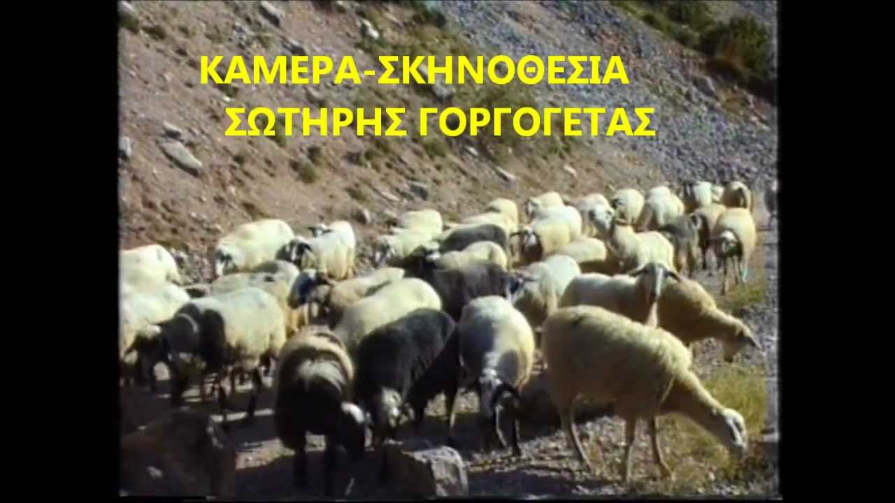 Ο ΒΛΑΧΟΚΩΣΤΑΣ ΚΙΝΗΣΕ-ΣΩΤ.ΓΟΡΓΟΓΕΤΑΣ-ΣΠ.ΑΝΑΣΤΑΣΙΟΥ