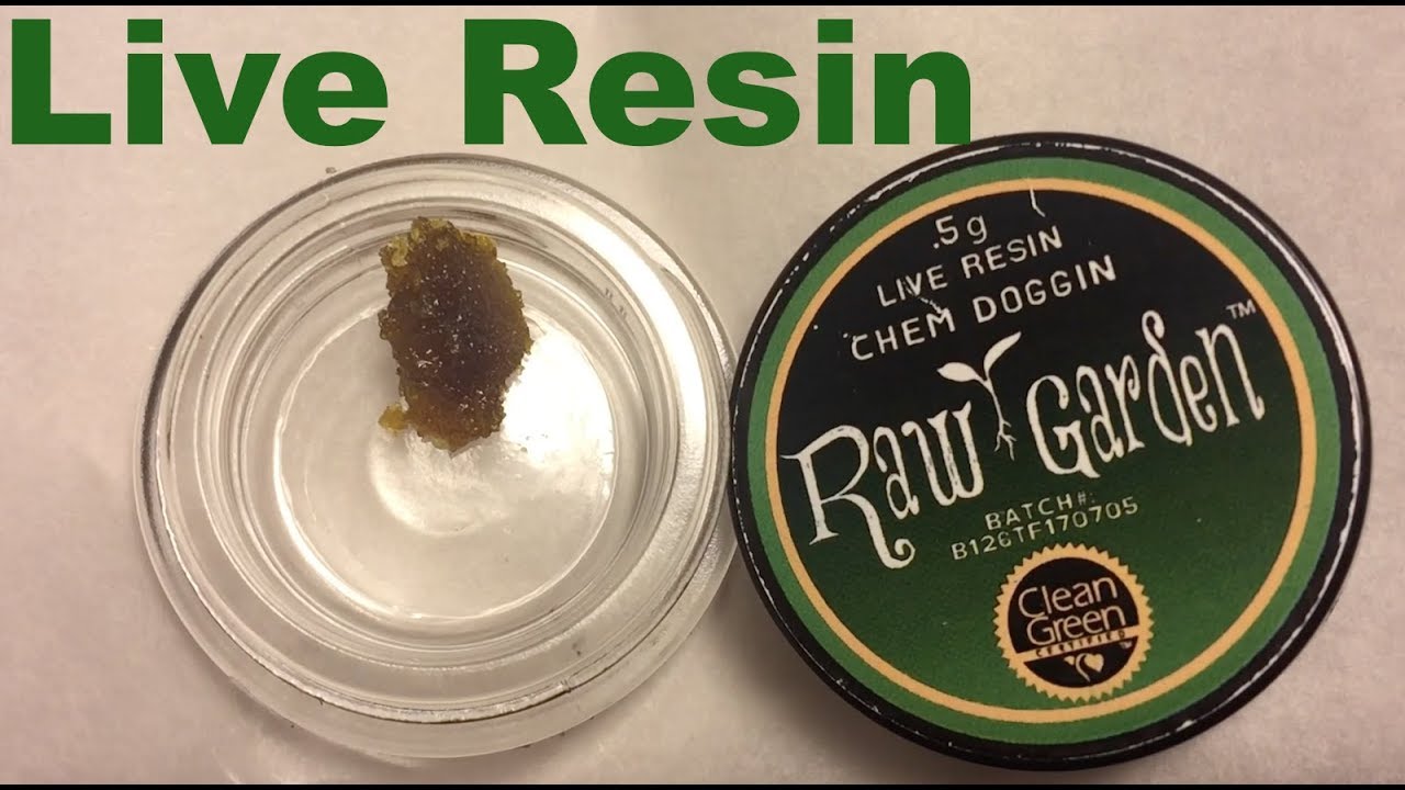 Raw Garden Chem Doggin Live Resin Weed Strain Review by GreenBox Grown