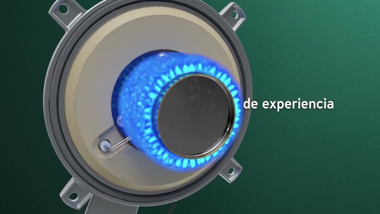 Calderas de condensación a gas Vaillant Ecotec Plus Smart
