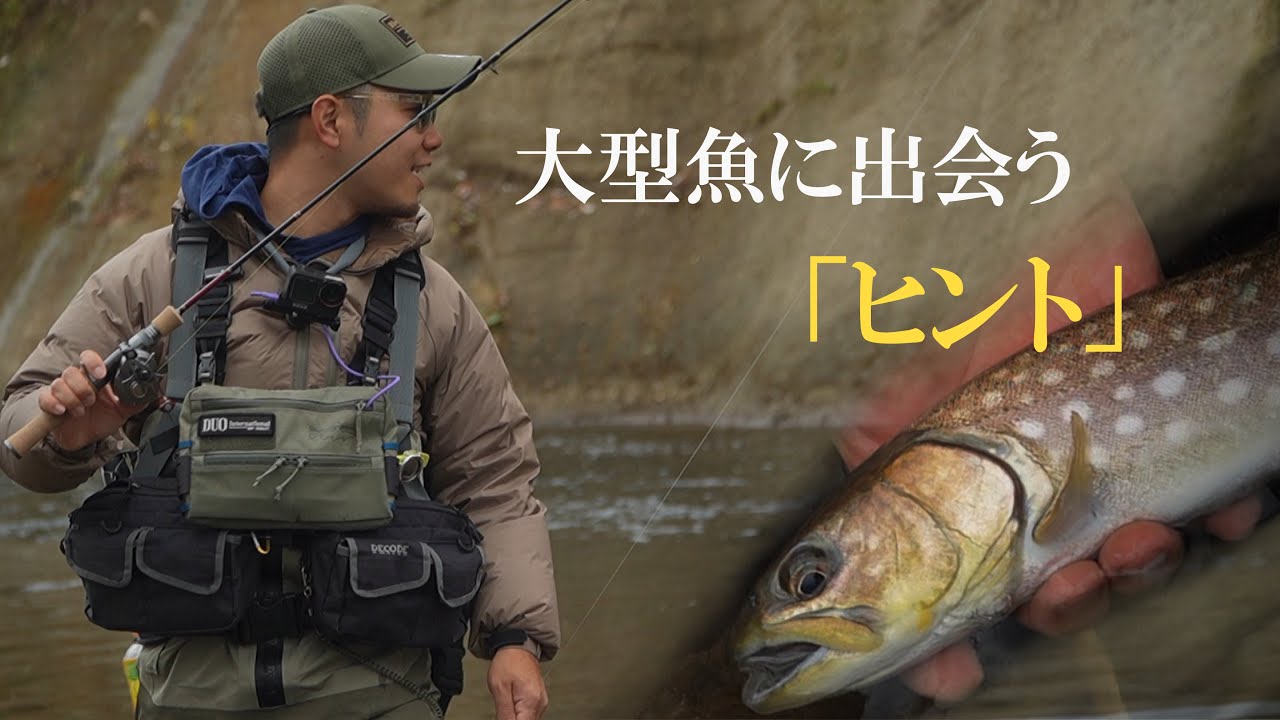 大型トラウトハンターKomyが遡上アメマスを追う