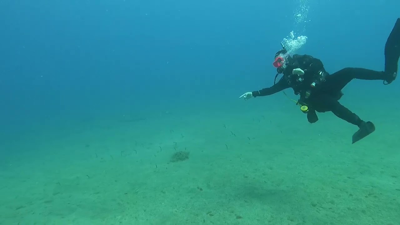 BUCEO EN LANZAROTE CON TIMANFAYASUB BLUE HOLD Y WAYKIKI ESPECTACULAR...