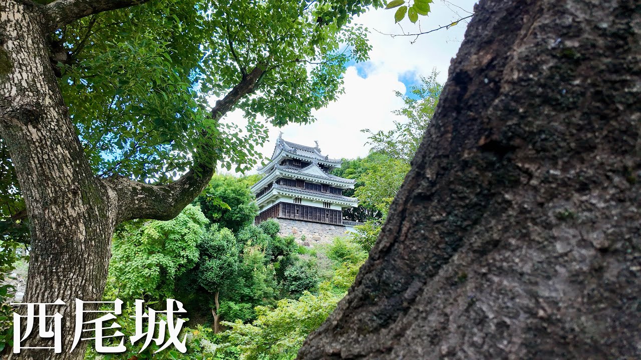 西尾城　隠れた東海の名城　愛知県　Nishio Castle 2024