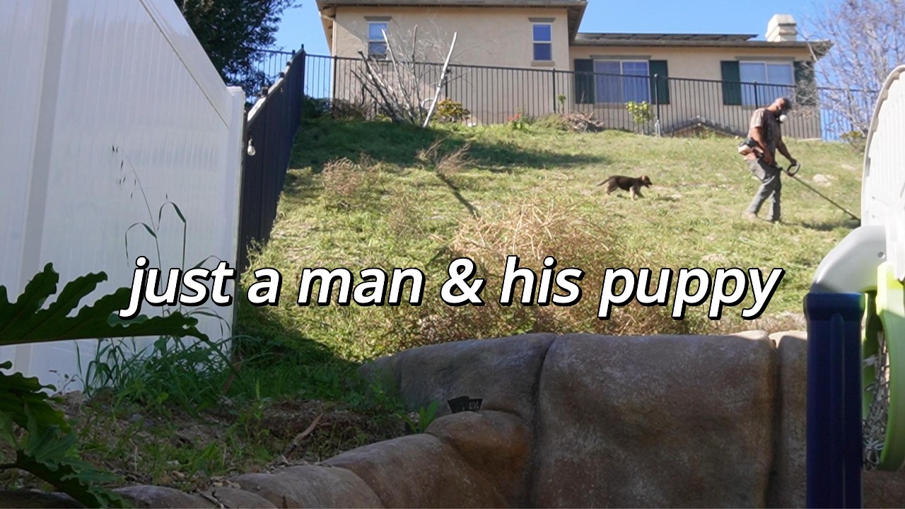 Landscaping with my new puppy 