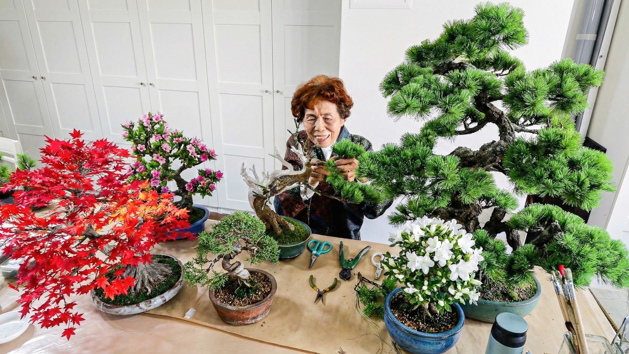 ８８歳スーパーおばあちゃん！家族で作る手入れ不要の盆栽がスゴい。