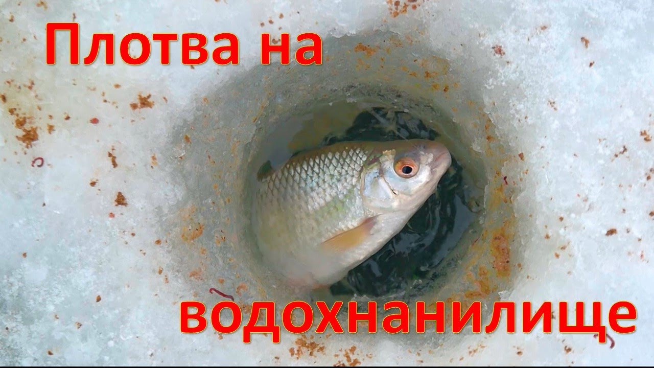Ловля плотвы в глухозимье на ВДХР.