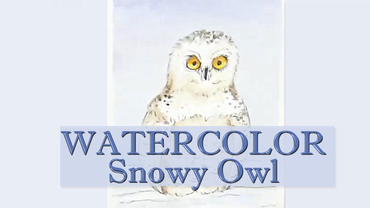 Real Time Paint a Cute Snowy Owl - How to Draw Watercolor Step By Step