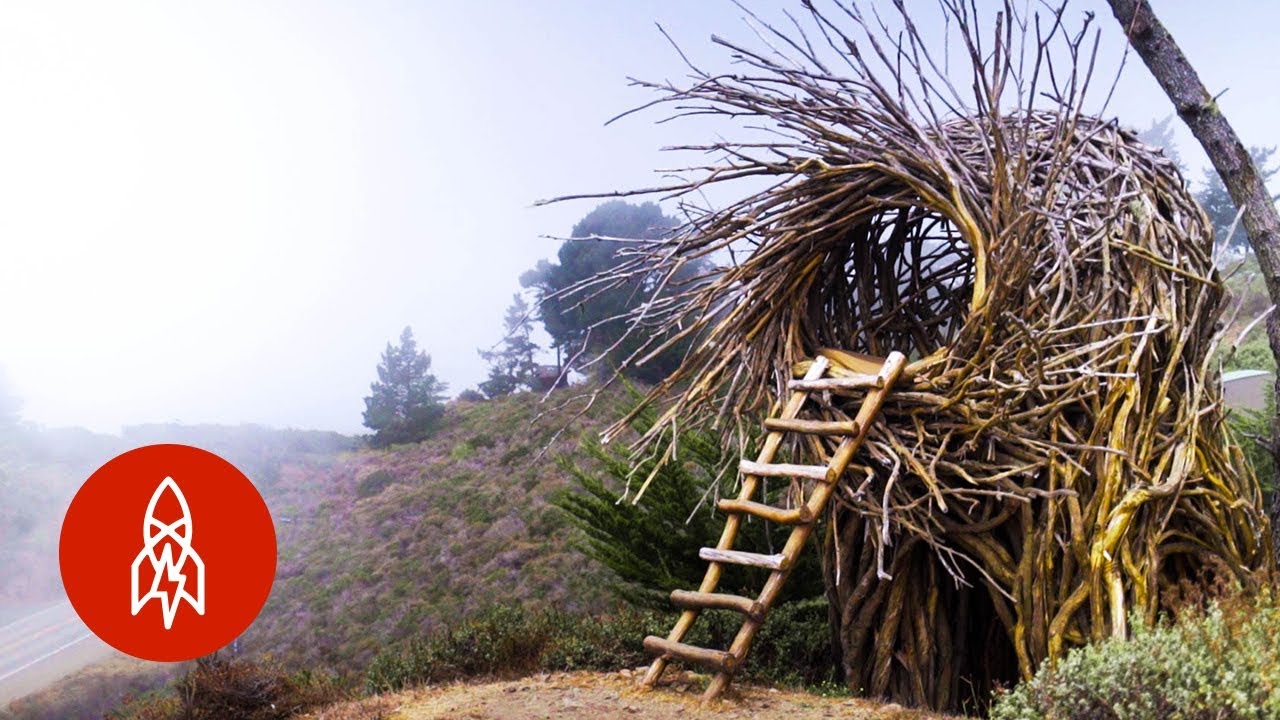 Meet the Man Building Human-Sized Nests