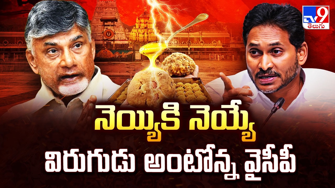 TDP vs YCP Over Tirumala Laddu Ghee Row | నెయ్యికి నెయ్యే విరుగుడు అంటోన్న వైసీపీ - TV9