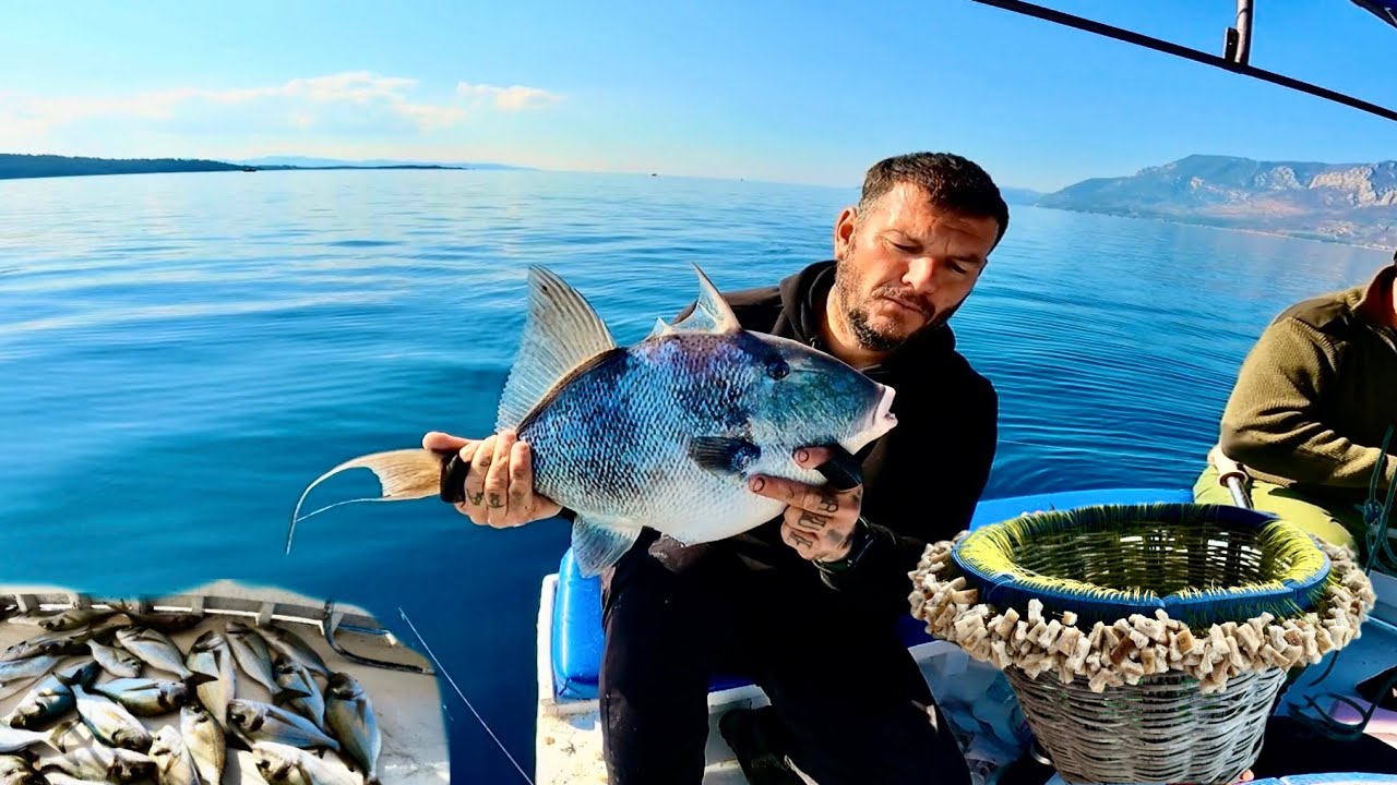 MERCANA,ÇUPRAYA PARAGAT ATTIM/HER ÇEŞİT BALIK GELDİ/EKMEĞE DAYANAMAYAN ÇUPRALAR #balıkçı #fishing