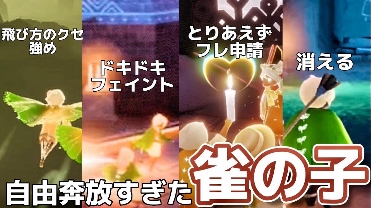 こんなに面白い雀ちゃんいる？🤣【Sky星を紡ぐ子供たち】