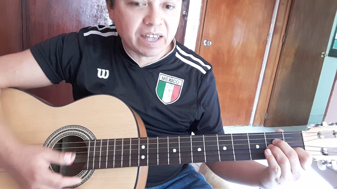pasión y vida tutorial