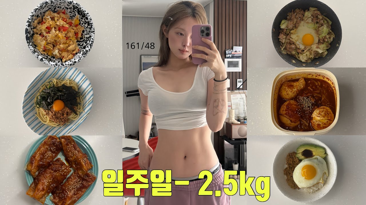 초간단 존맛 다이어트 식단 13가지 모음집〰️두쫀쿠 유행 끝났다. 다들 집합.