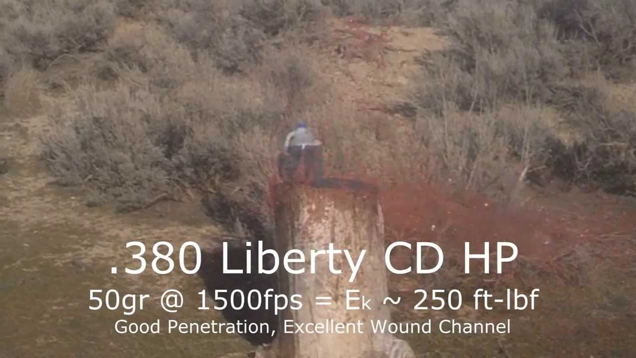 Edward Wilks - Ammo Testing: Liberty Civil Defense .380