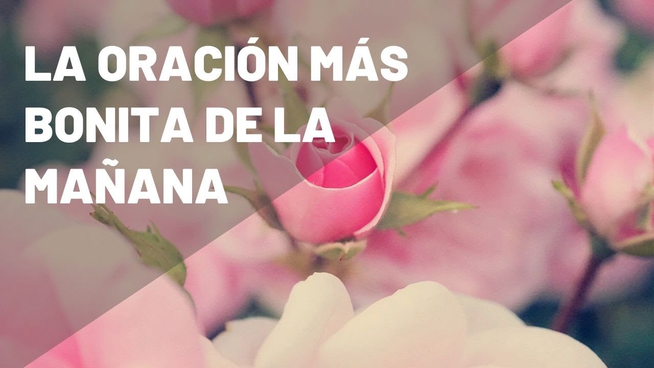 ORACIÓN DE LA MAÑANA | La Oración de la Mañana más Bonita | ORACIONES
