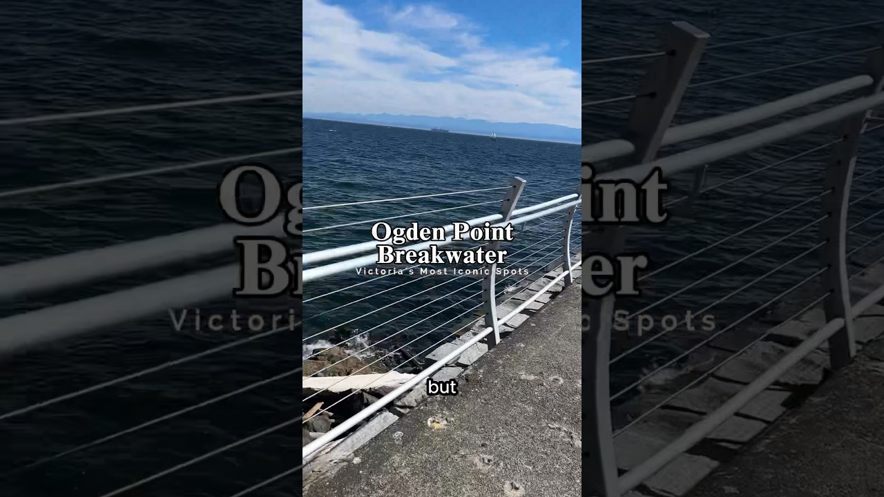 Adventure of the day: Ogden Point BreakWater #foryou #fyps #adventure #foryoupage #fyp #victoria