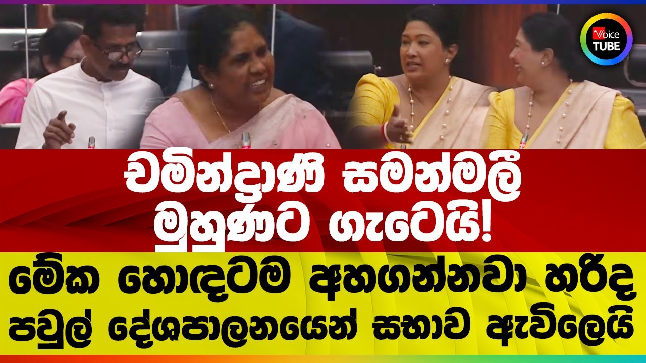 කිරිකෝඩු කිරිඇල්ලට ආණ්ඩුවෙන් වට පූජාවක්ද? | මේක හොඳටම අහගන්නවා හරිද | පවුල් දේශපාලනයෙන් සභාව ඇවිලෙයි
