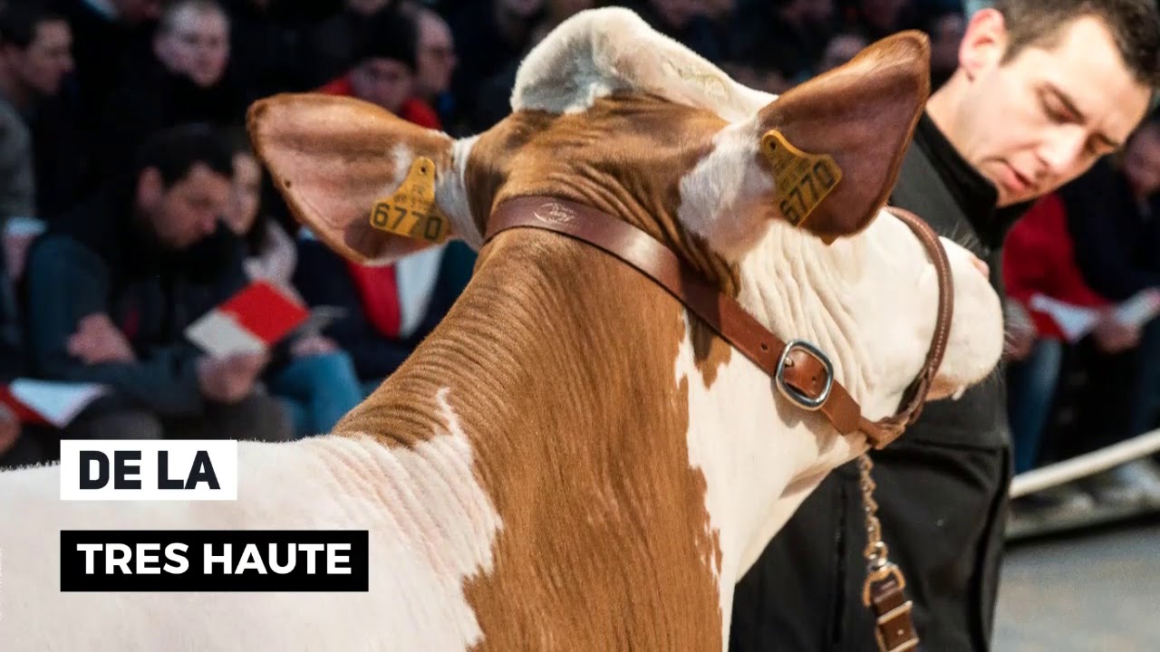 Journée partenaires Umotest 2020 - XR Repro
