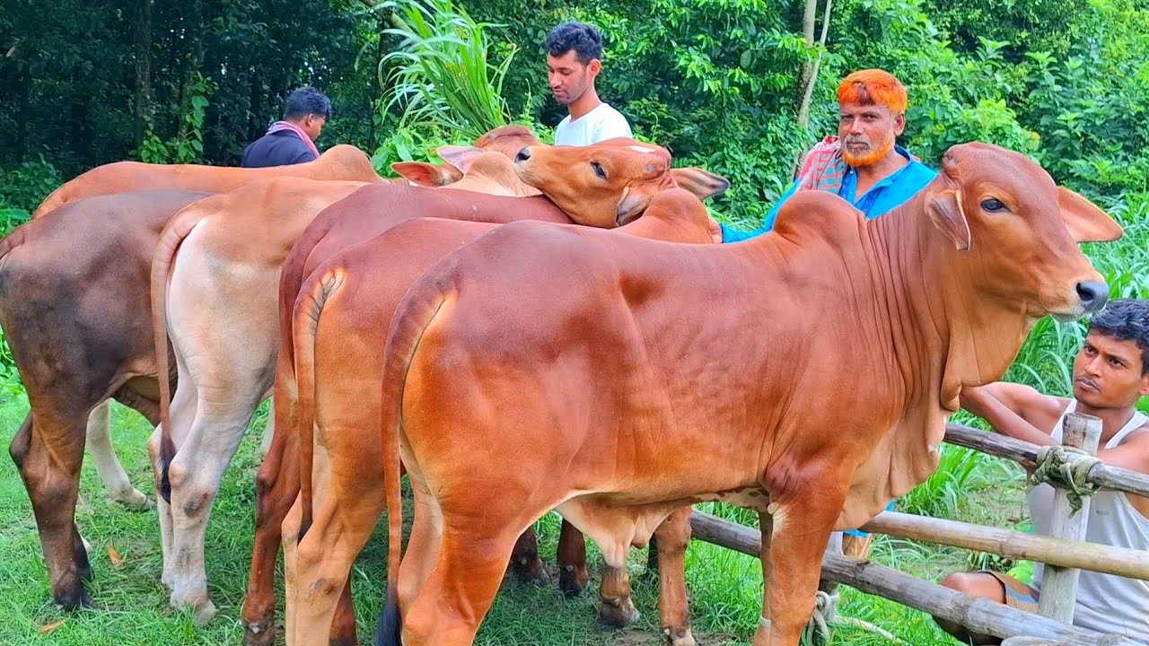 @আজ ২০ জুলাই 2025