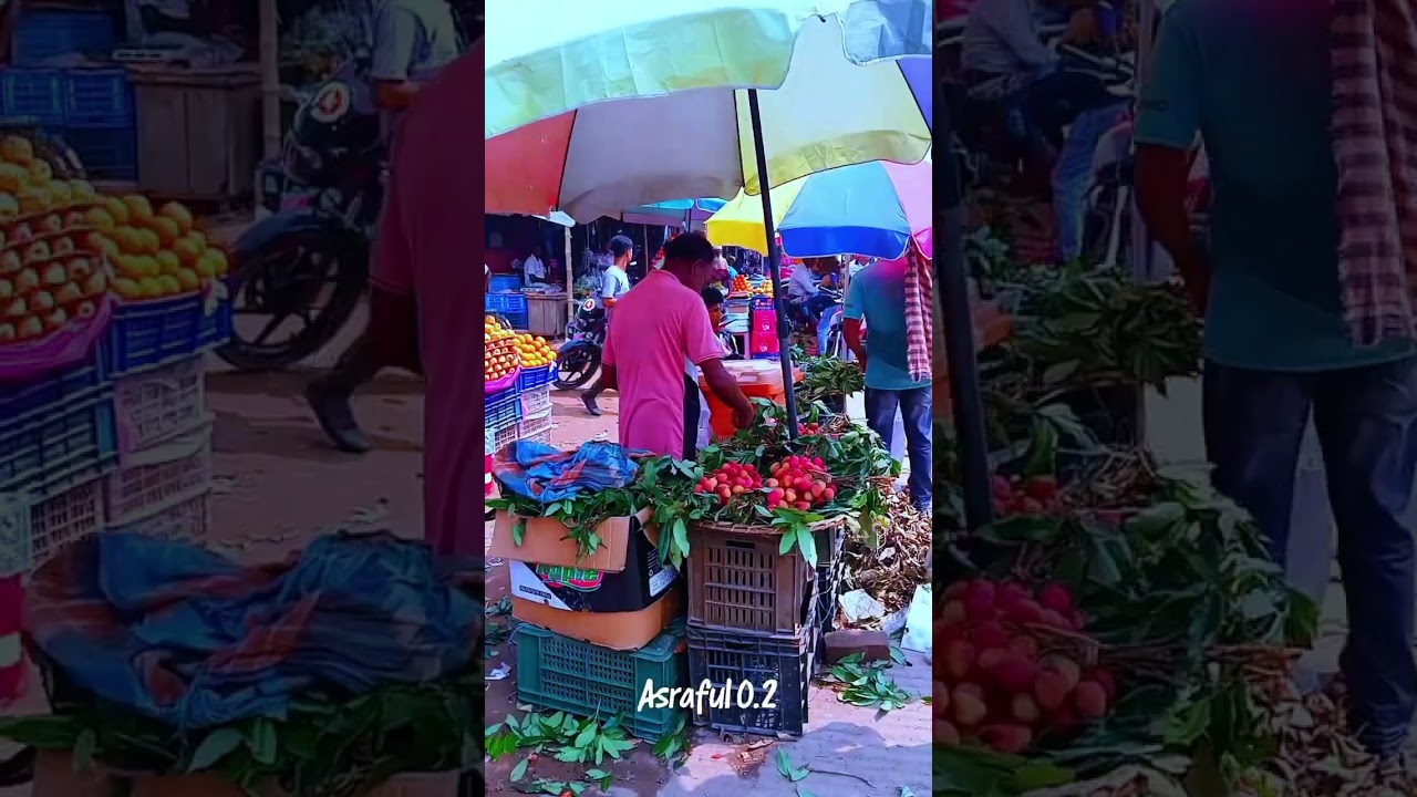 nazipur naogaon #song #bollywood #music #love #tranding #minivlog #historicalfacts #viralshort