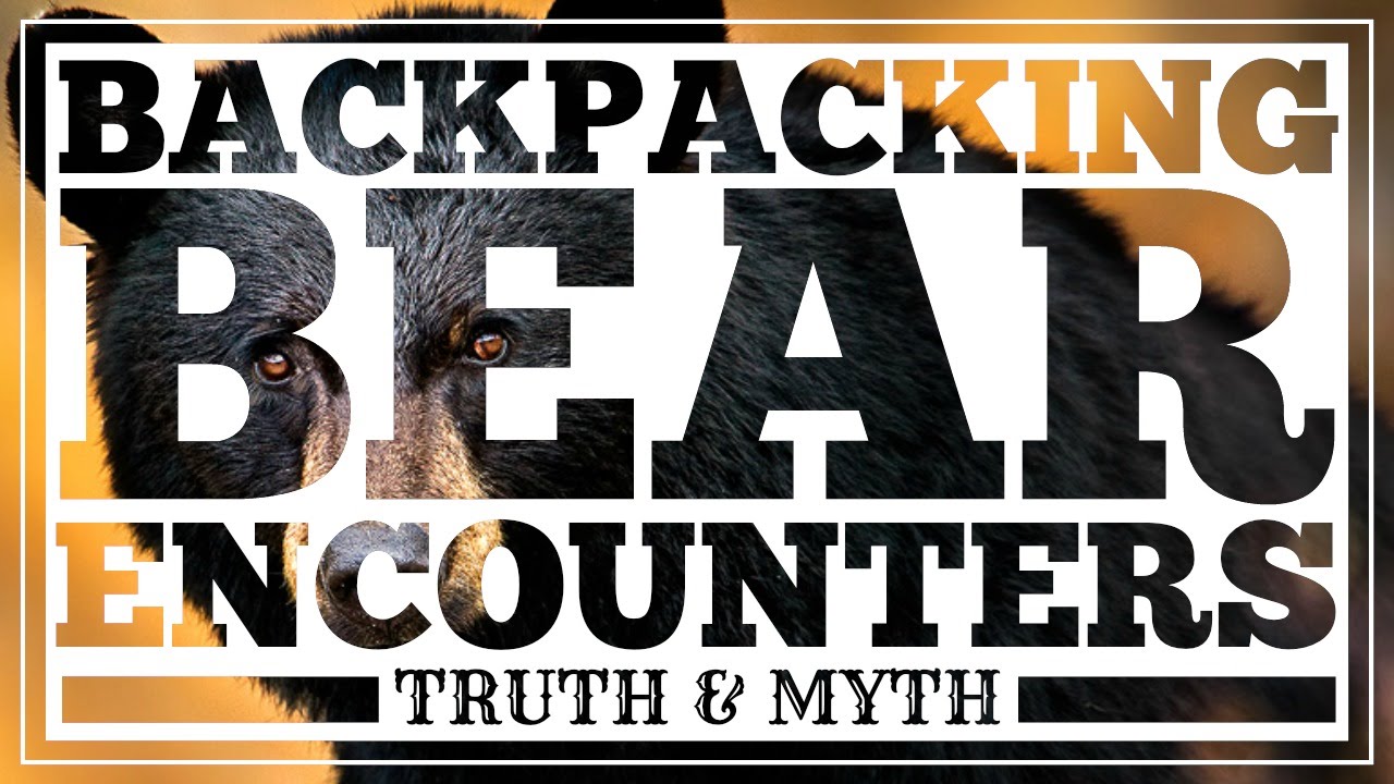 Backpacking Bear Encounters - Truth and Myth - CleverHiker.com