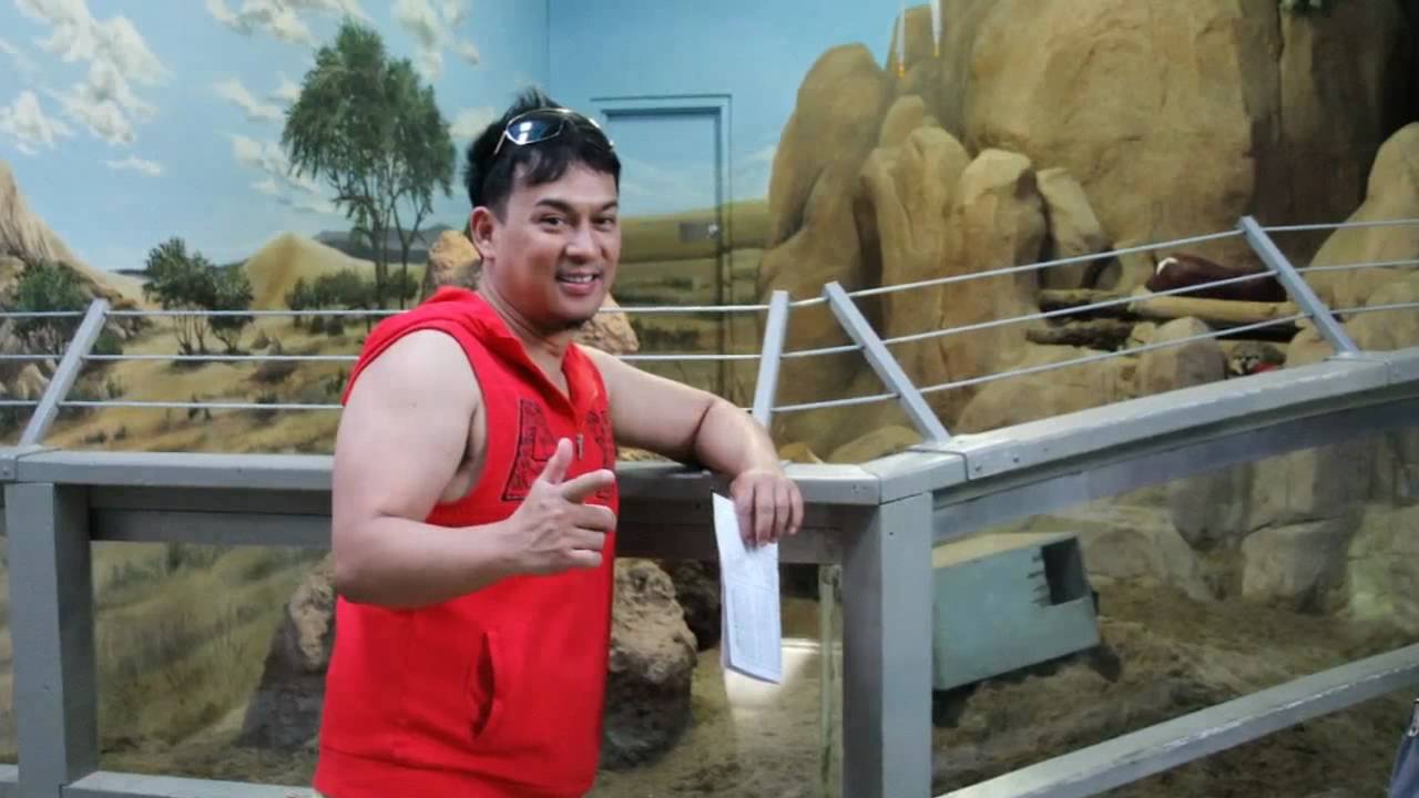 Assiniboine Park Zoo.mpg