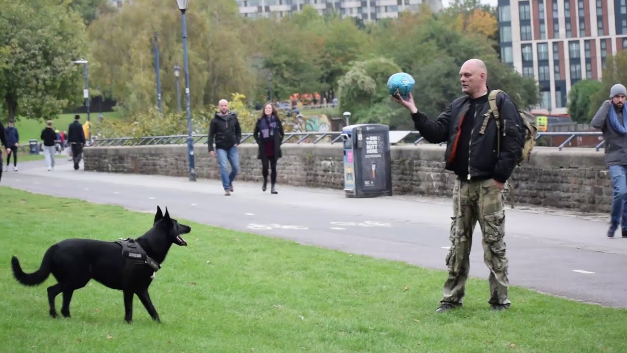 A walk through the historic Castle Park of Bristol UK