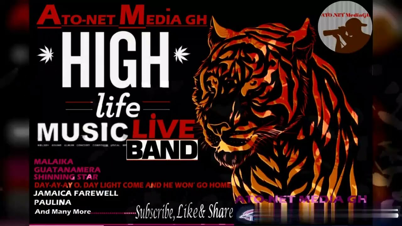 🐞MALAIKA-Intro- Hi-LIIFE COMPILATIONS OF THE BEST LIVE-BAND MUSIC (First🎶Class) --- [Official Audio]