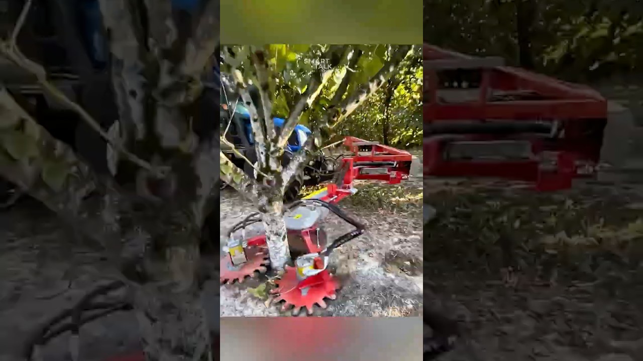 Агробизнес без людей 🤯 Секрет дешевых фруктов #агро