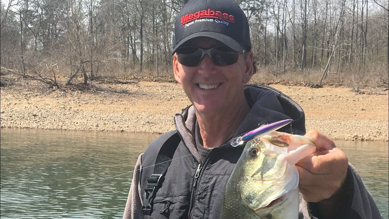 How To Catch Lots Of Shallow Bass In February&hellip;