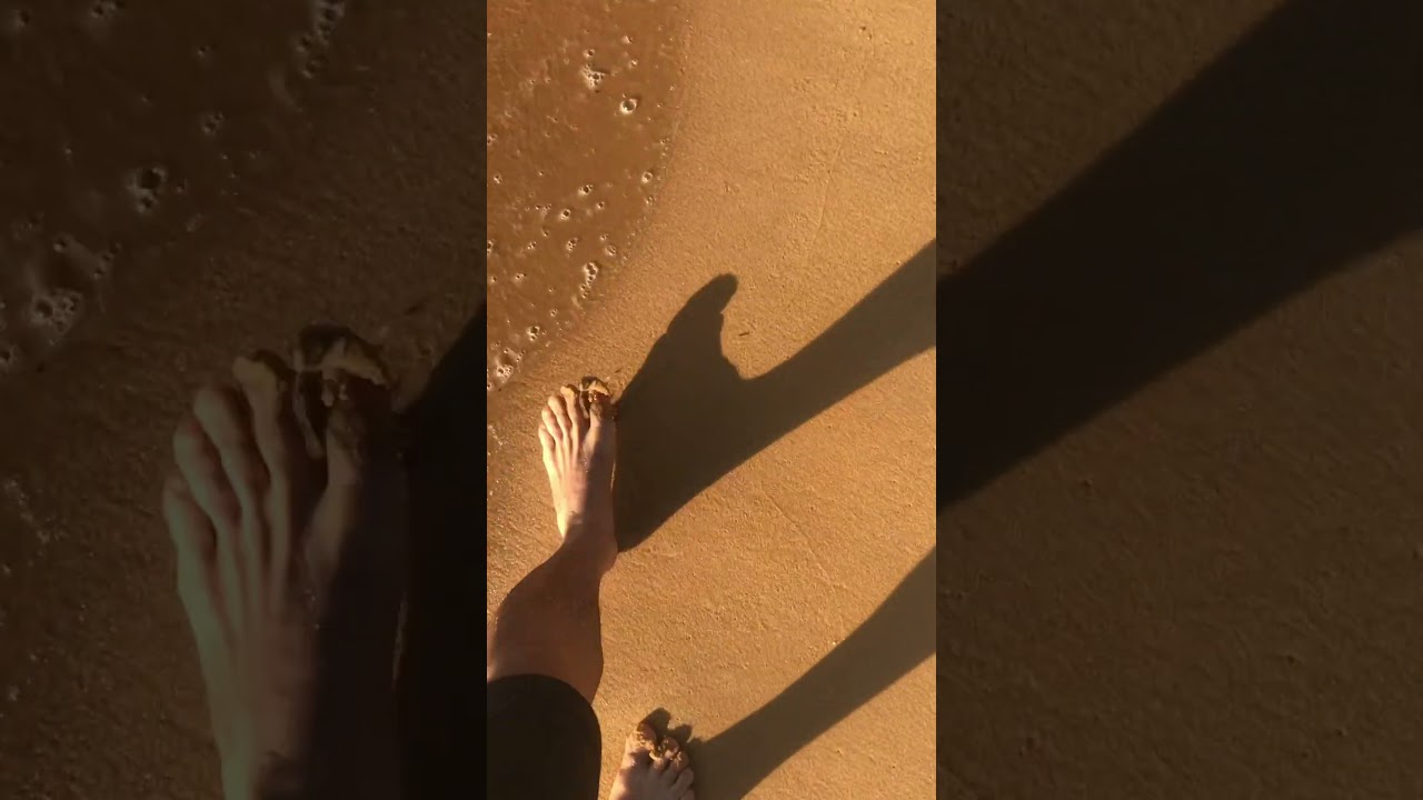 Touching Peace #shortsvideo #ocean