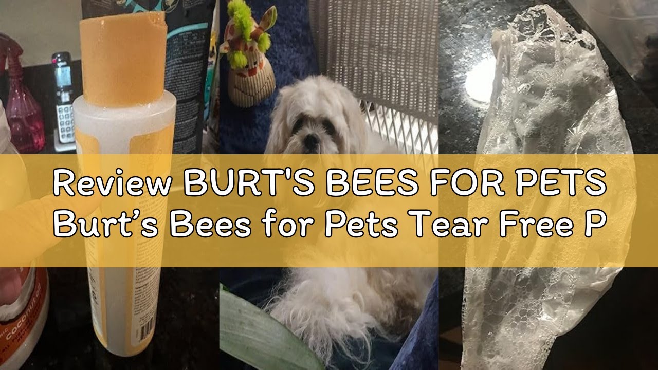 Review BURT'S BEES FOR PETS Burt’s Bees for Pets Tear Free Puppy Shampoo & Conditioner with Buttermi