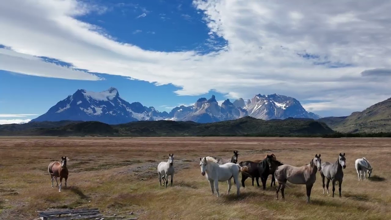Patagonia