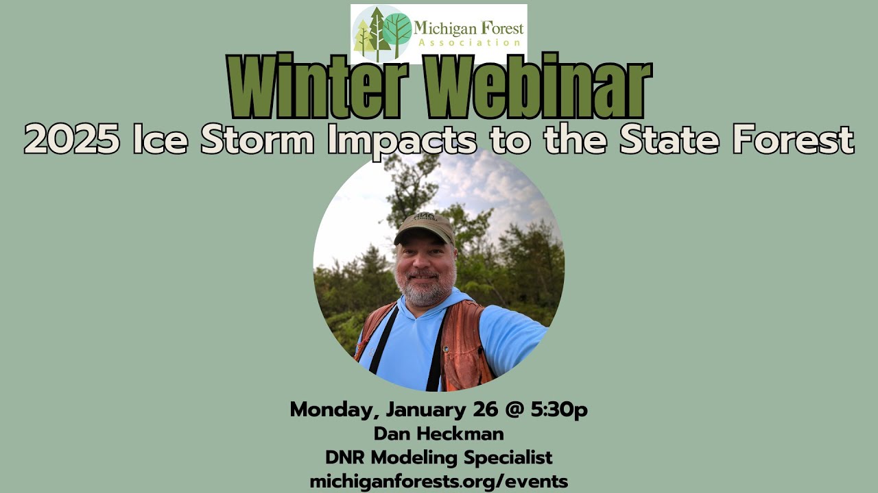 Winter Webinar: 2025 Ice Storm Impacts to the State Forest with Dan Heckman