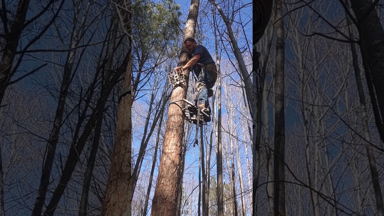 Lone wolf hand climber Tethrd Phantom tree saddle hunting