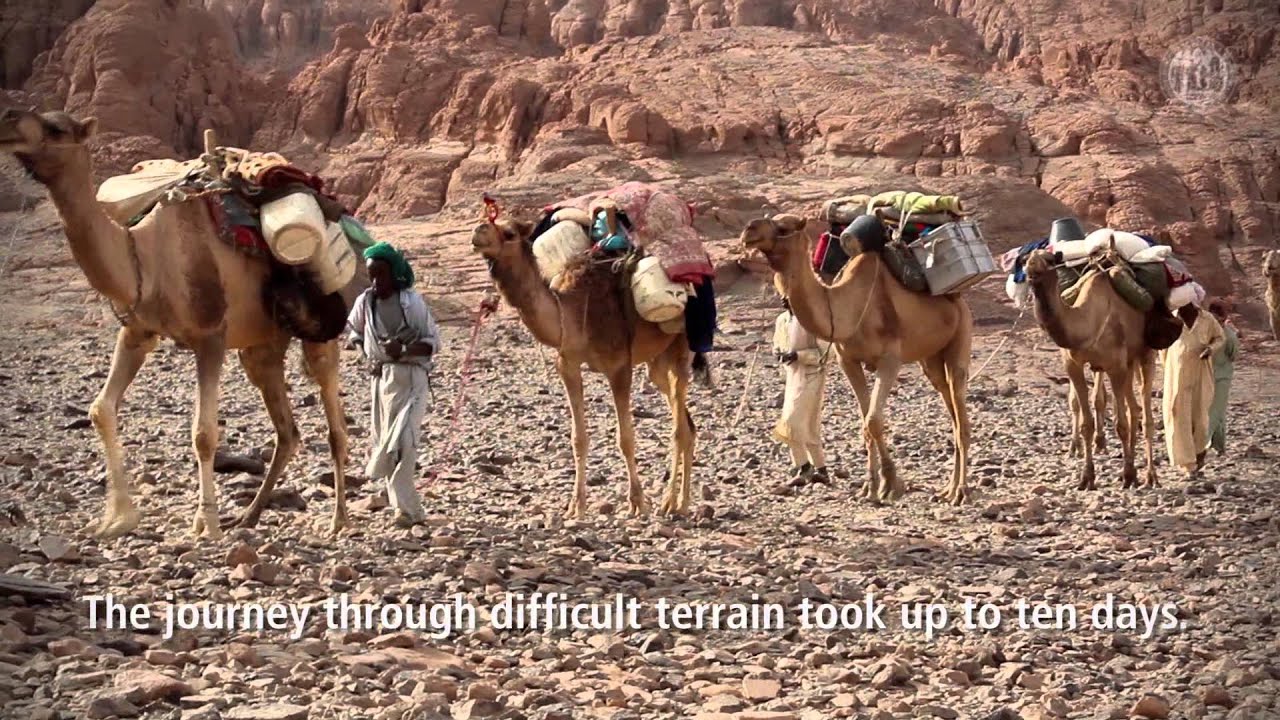 Tibesti - Research on the roof of the Sahara desert