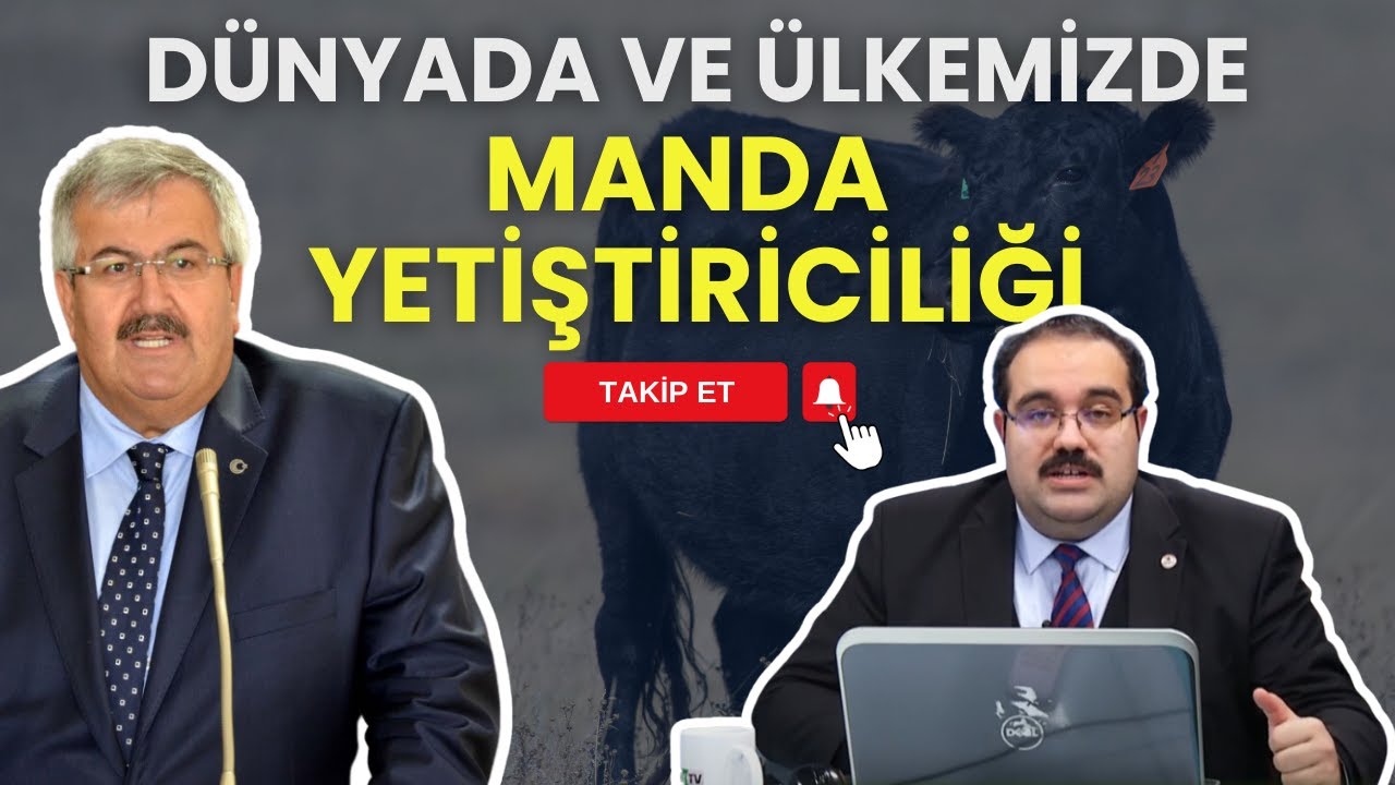 DÜNYADA VE ÜLKEMİZDE MANDA YETİŞTİRİCİLİĞİ | YENİ NESİL HAYVANCILIK