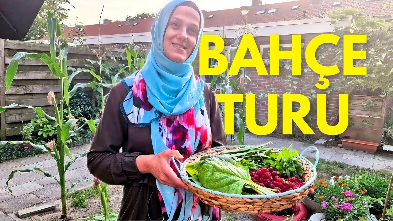 Bahçemizde Neler Yetiştirdik/Yetiştiremedik! #günaydınhollanda #hollanda