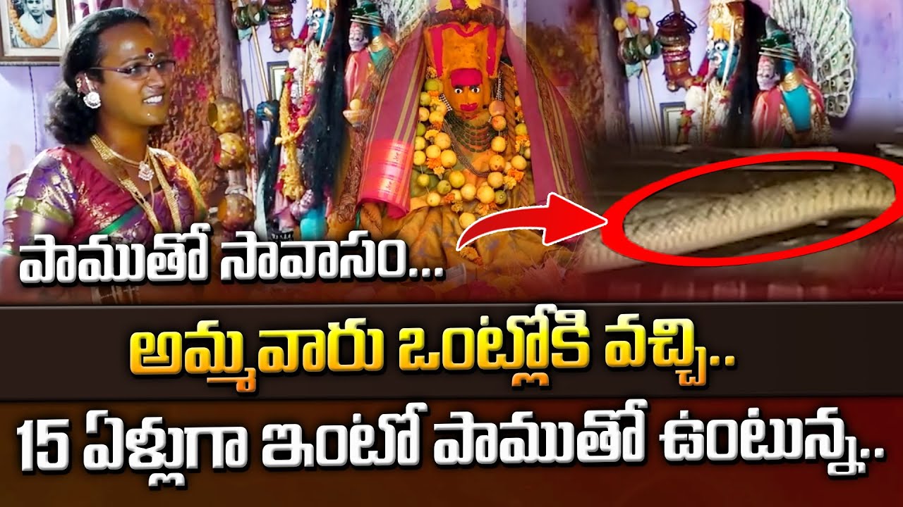 15 ఏళ్లుగా ఇంటో పాముతో ఉంటున్న.. | Naga Devatha | SumanTV Culture