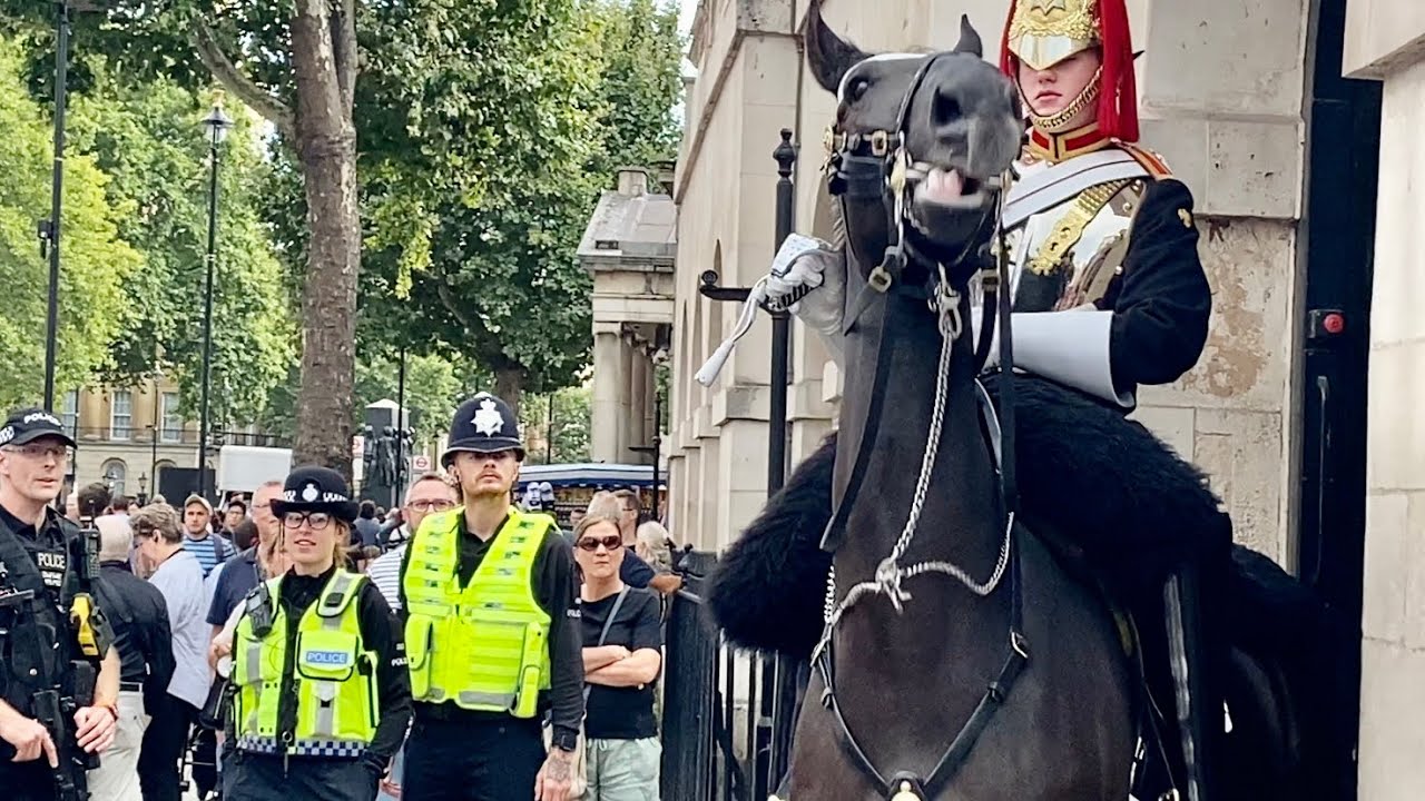 Spooked Horse Controlled