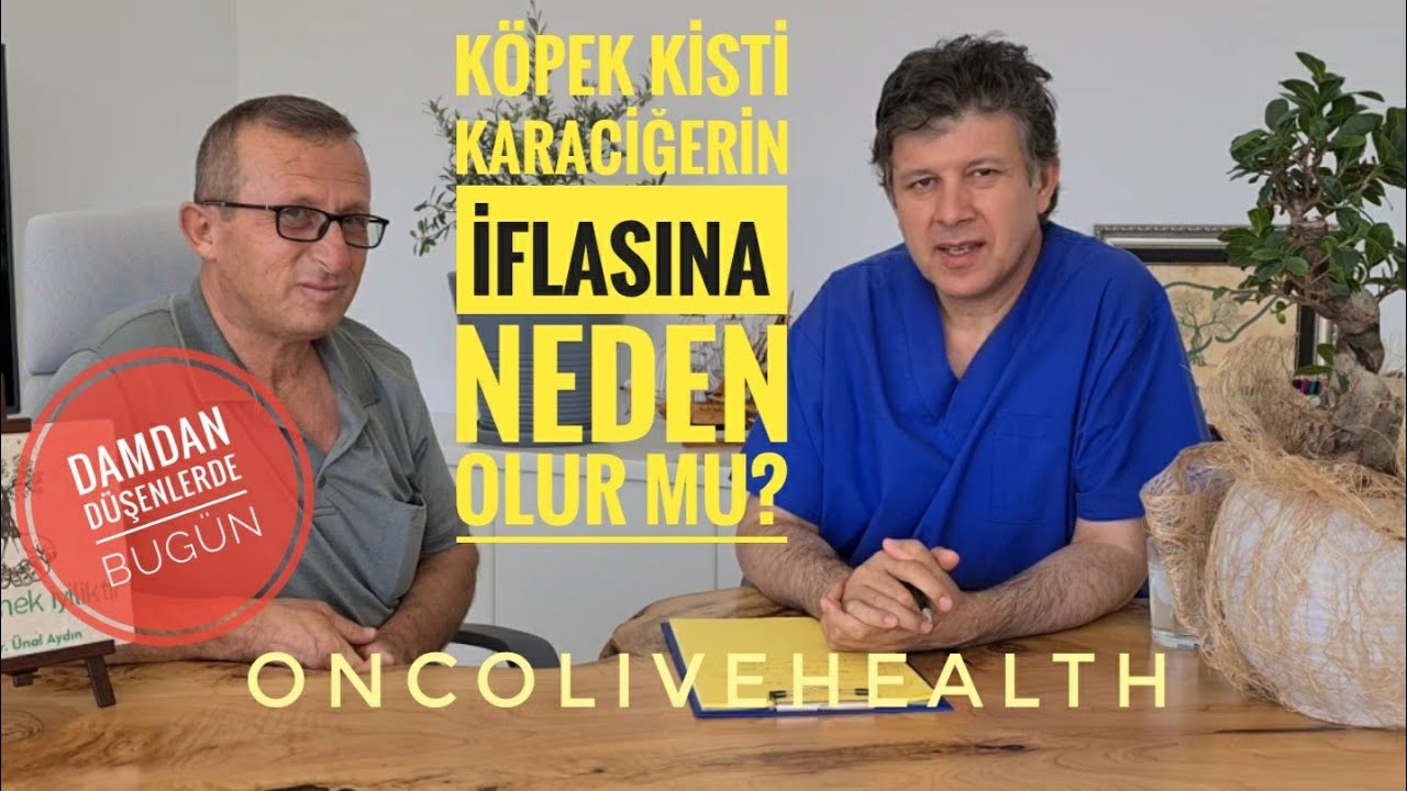 KÖPEK KİSTİ KARACİĞERİN İFLASINA NEDEN OLUR MU?