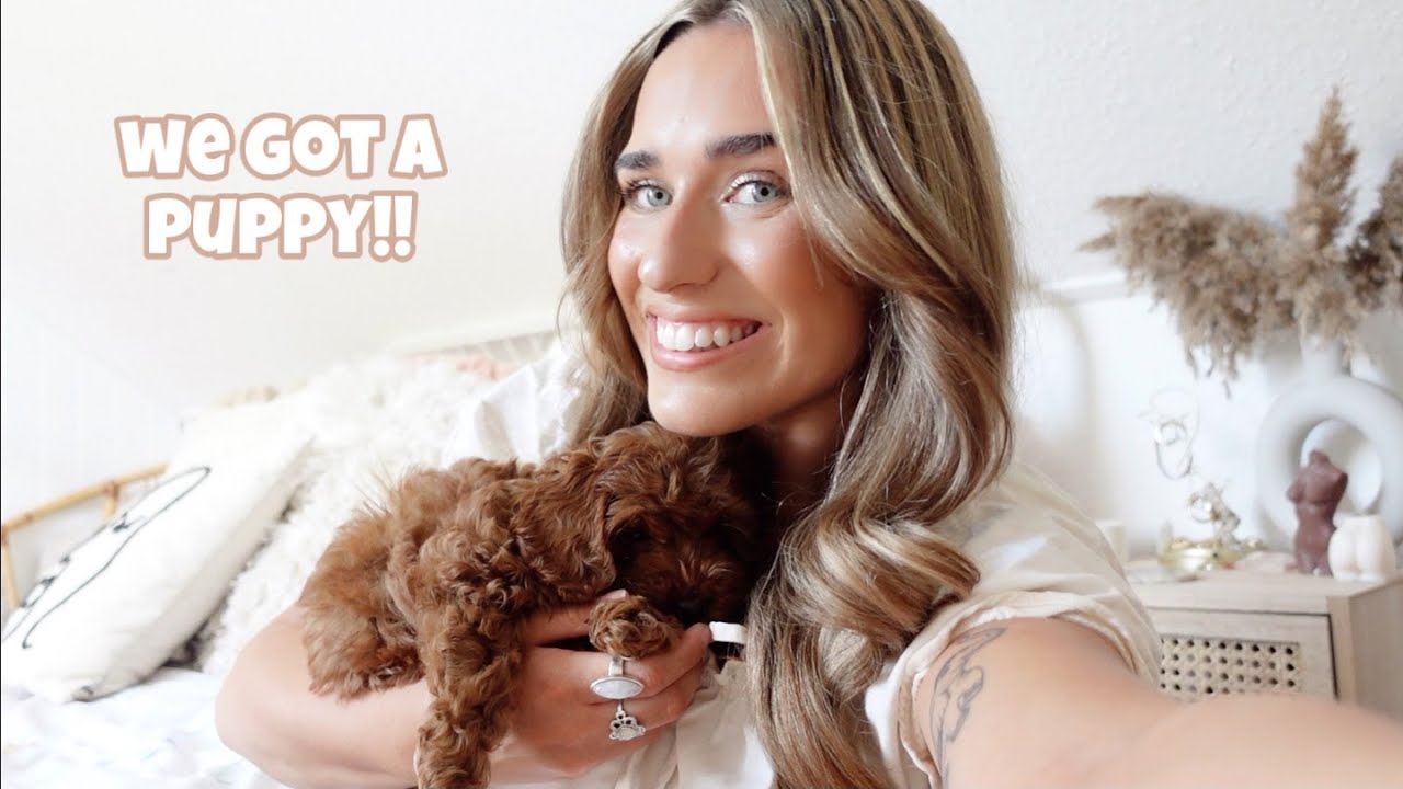 WE GOT A PUPPY!!!! collecting our new cockapoo puppy and first few days at home vlog || Talia Rose