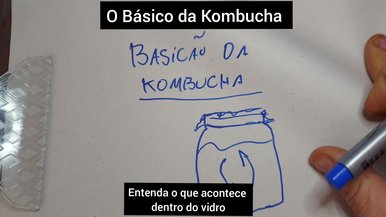 Kombucha primeira fermentação, entenda o que acontece na F1