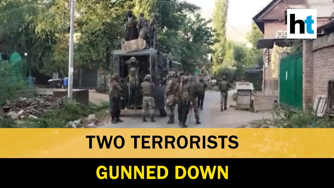 Two terrorists killed in encounter with security forces in J&K's Pulwama