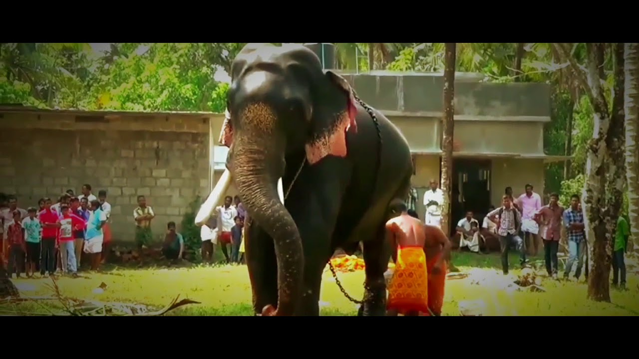 തൃക്കടവൂർ ശിവരാജു short story...