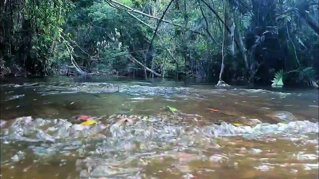 Episode: 44 Kulen Mountain River Water Flowing | Water Sound, Natural White Noise For Sleeping.