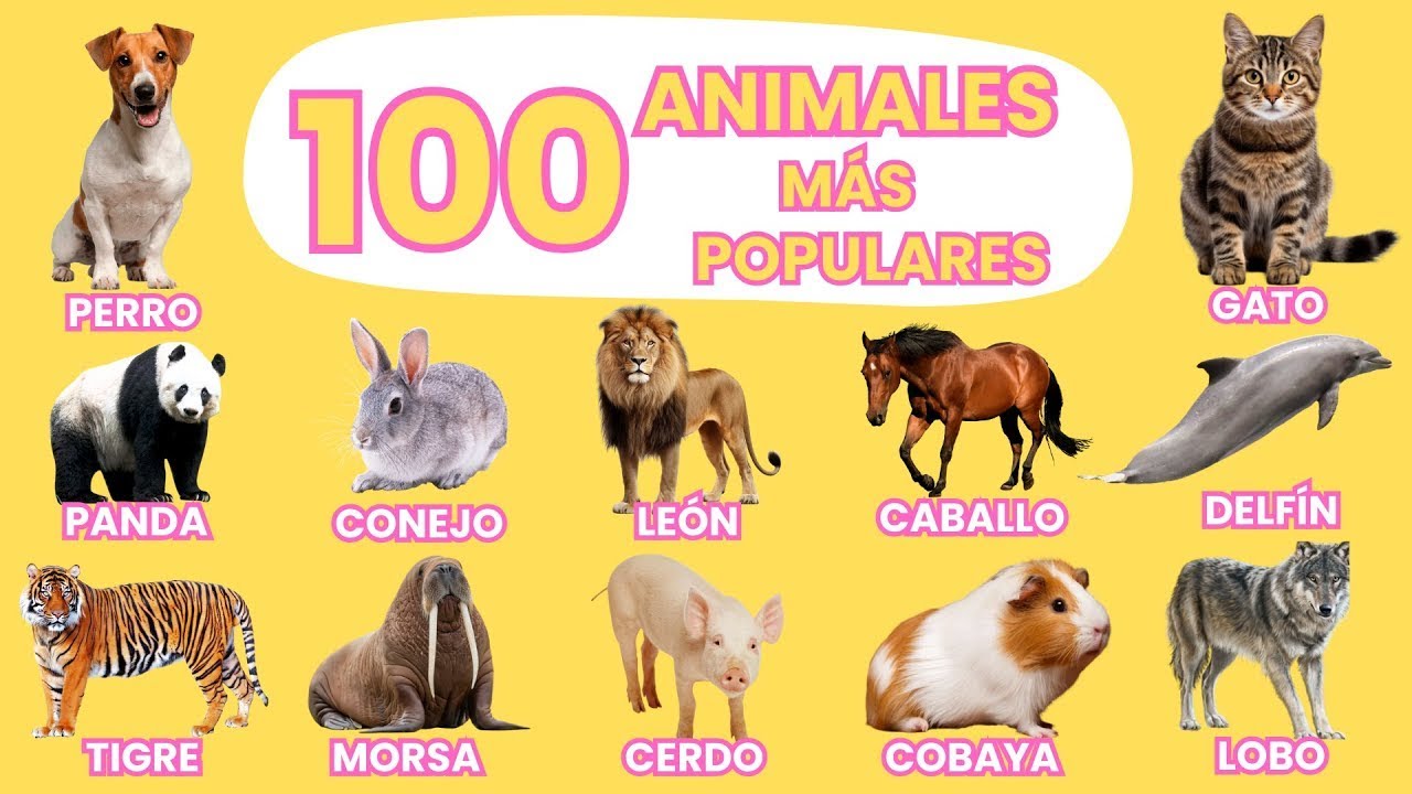 100 Animales Más Populares del Mundo 🌎 | Vídeo para niños | ¡Aprende los Nombres de Animales!