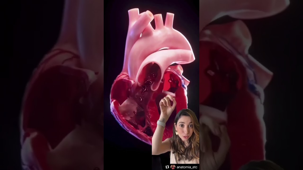 Ciclo card&iacute;aco!