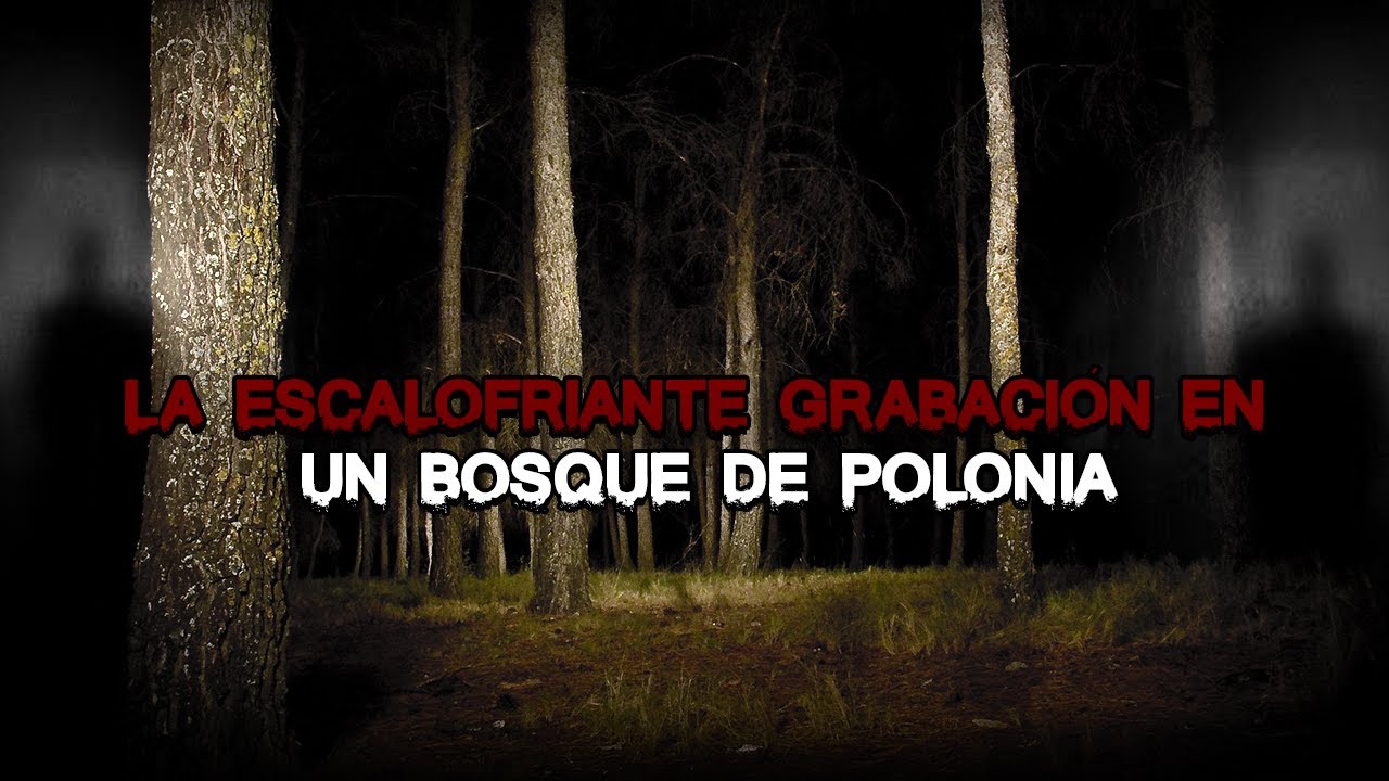 La ESCALOFRIANTE GRABACI&Oacute;N en un Bosque de Polonia