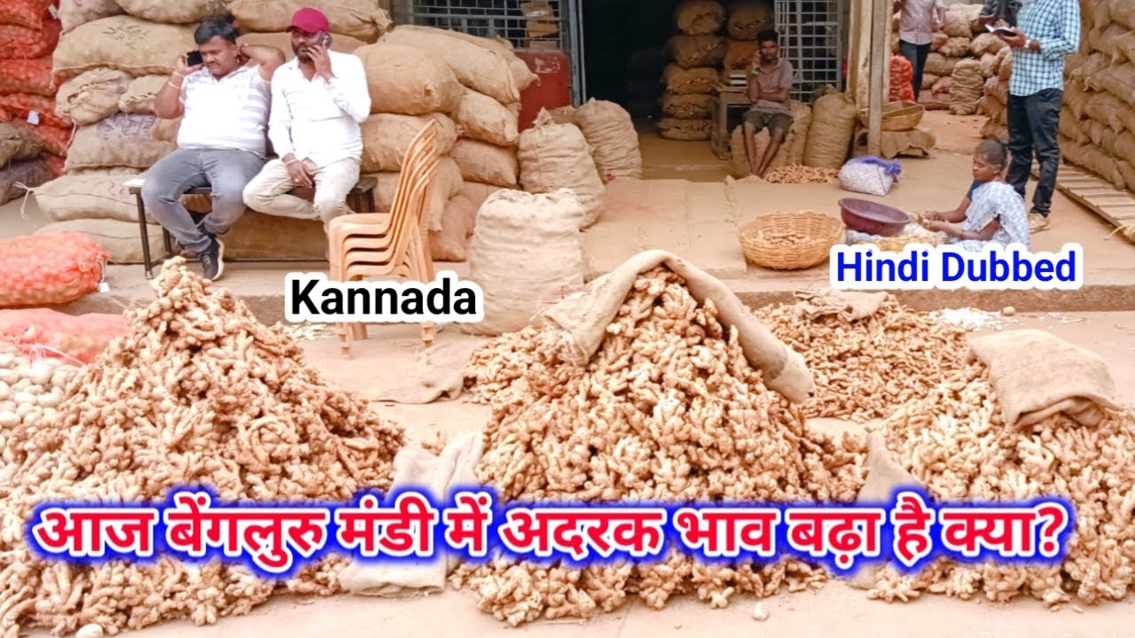 19/02/2026 आज बेंगलुरु मंडी में अदरक का भाव कुछ ऐसा हुआ है ?